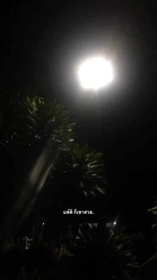 TikTok video thumbnail by korya56_49