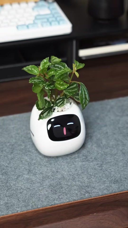 TikTok video thumbnail by hertzzstore