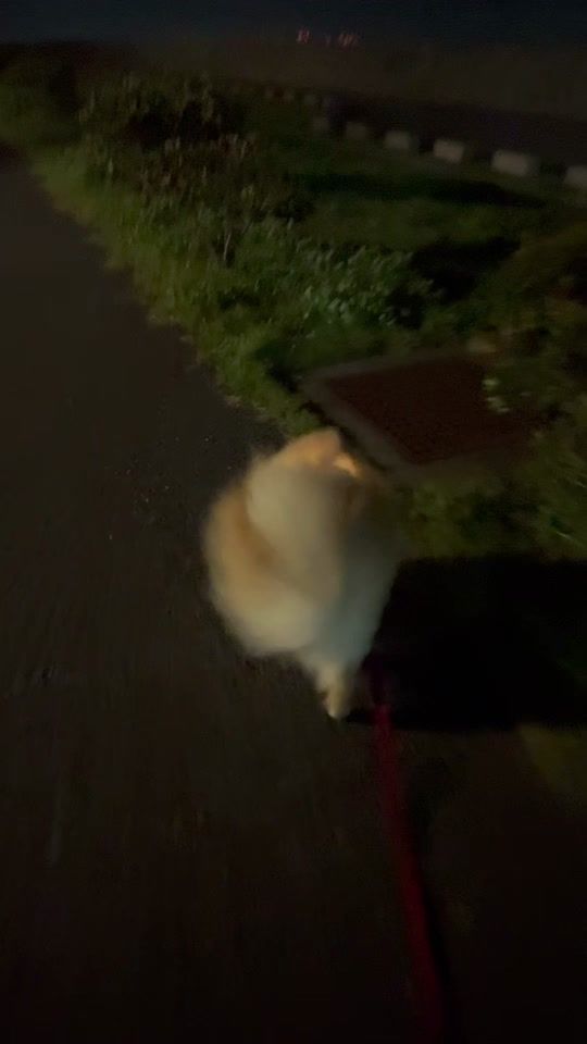 TikTok video thumbnail by 115tonton