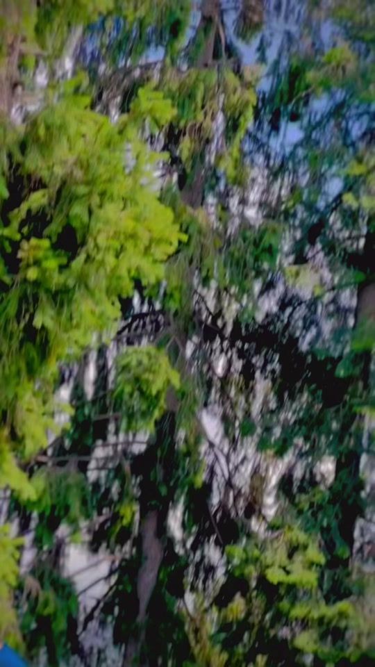TikTok video thumbnail by mr_ballol155