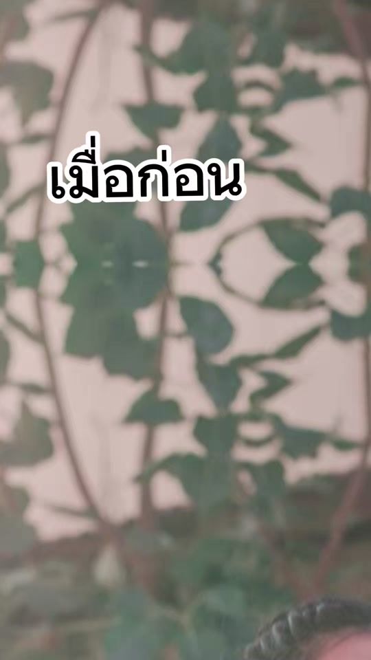 TikTok video thumbnail by janjanlinda