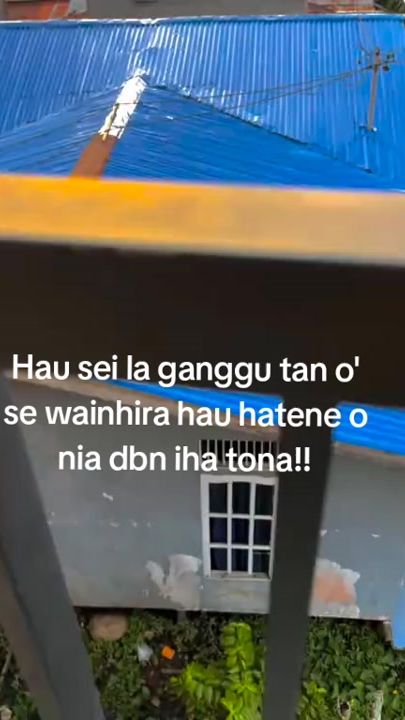 TikTok video thumbnail by davyd..05