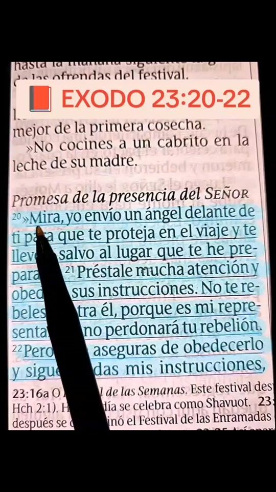 TikTok video thumbnail by reflexiones452