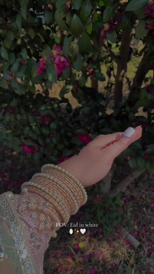 TikTok video thumbnail by labikhan02