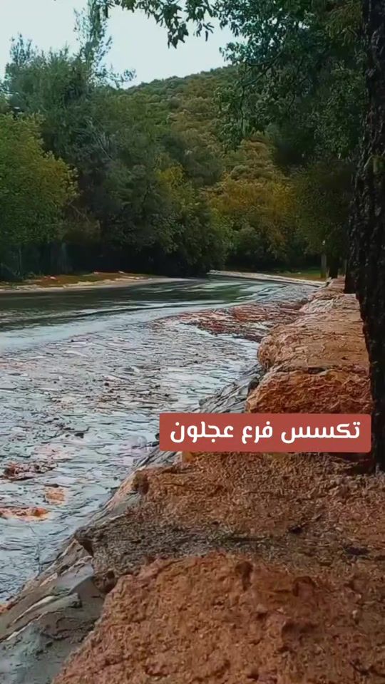 TikTok video thumbnail by x077x0