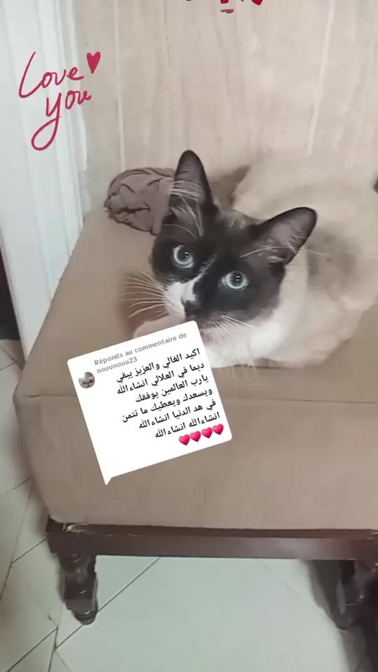 TikTok video thumbnail by hasaniaait