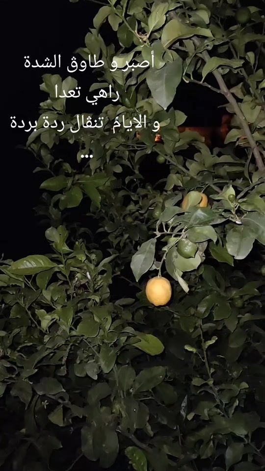 TikTok video thumbnail by sihembouslimi