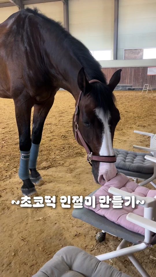 TikTok video thumbnail by juliea_pril