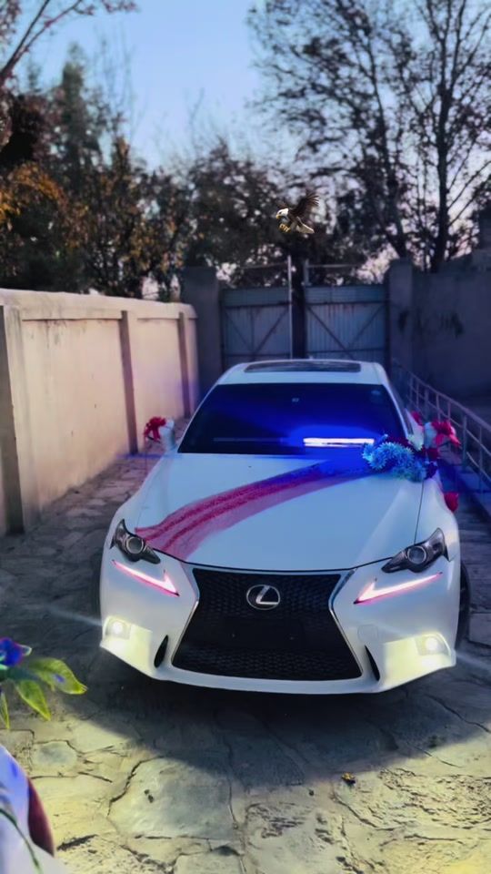 TikTok video thumbnail by hamidabdali8