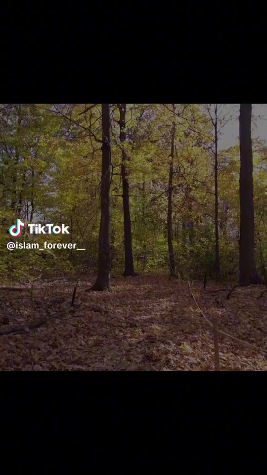 TikTok video thumbnail by lirim_rafuna