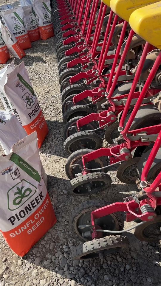 TikTok video thumbnail by viktoragro