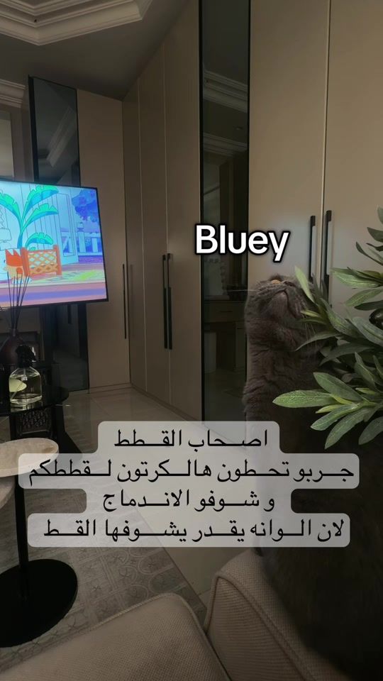 TikTok video thumbnail by miss.altaf
