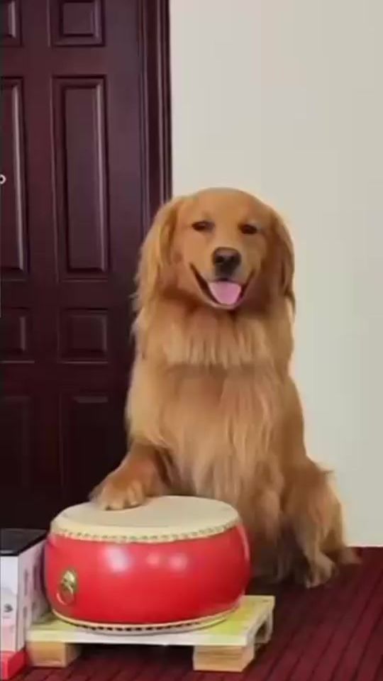TikTok video thumbnail by afu0831