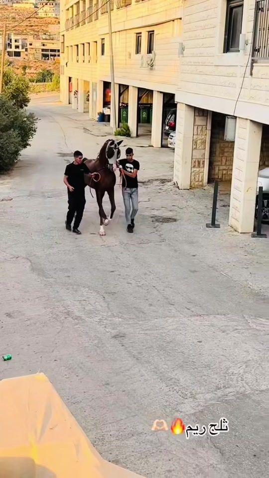 TikTok video thumbnail by omarzoul0