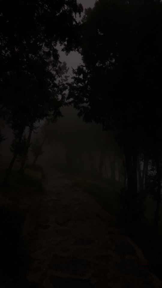 TikTok video thumbnail by z.8_o