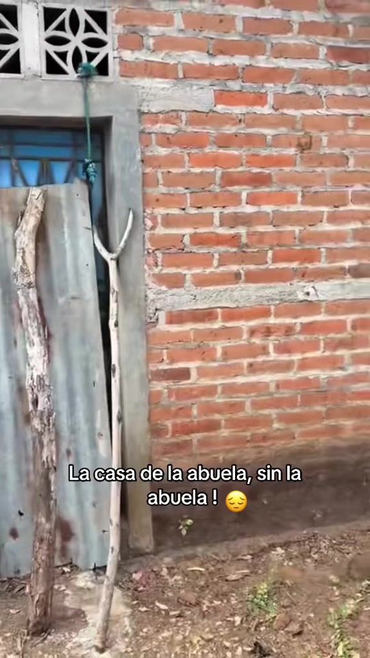 TikTok video thumbnail by aby103maga