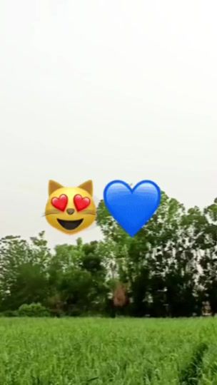 TikTok video thumbnail by bixruz4ik