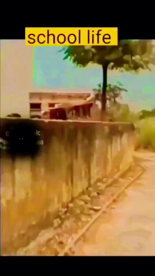 TikTok video thumbnail by tractorking744