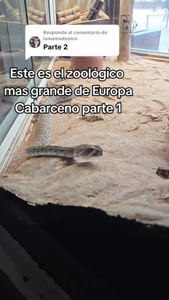 TikTok video thumbnail by nirvanaresiliente