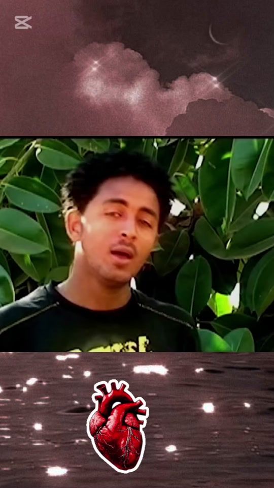 TikTok video thumbnail by canari.camera