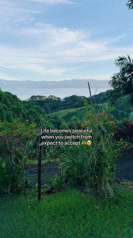 TikTok video thumbnail by its_ur_karma__