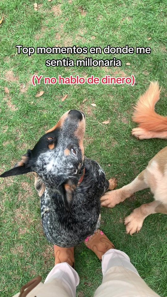 TikTok video thumbnail by _magaduarte_