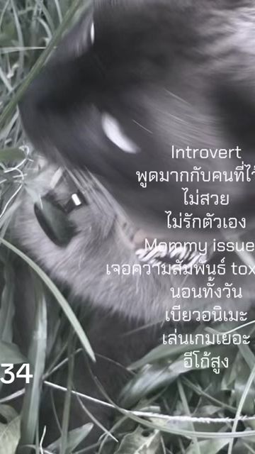 TikTok video thumbnail by phimonphatheman