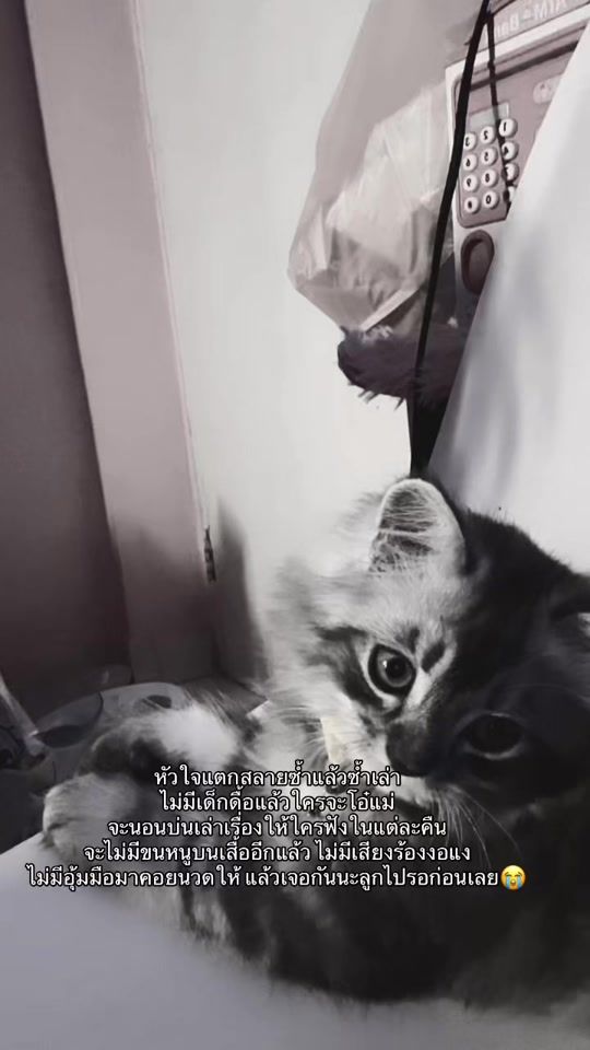 TikTok video thumbnail by _natcha0221