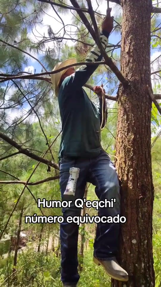 TikTok video thumbnail by maribel.caal780