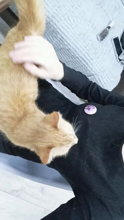 TikTok video thumbnail by ya_lybly_sandy