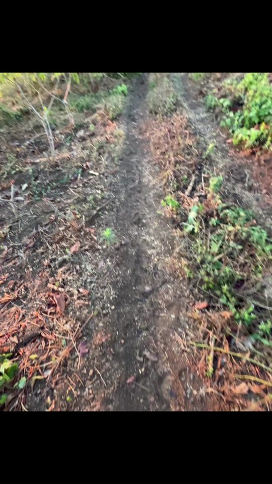 TikTok video thumbnail by kee.kee304