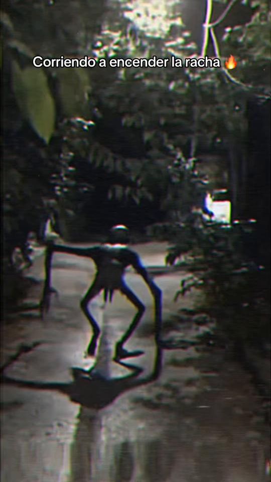 TikTok video thumbnail by thelastroom