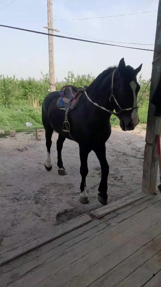 TikTok video thumbnail by user454490145525