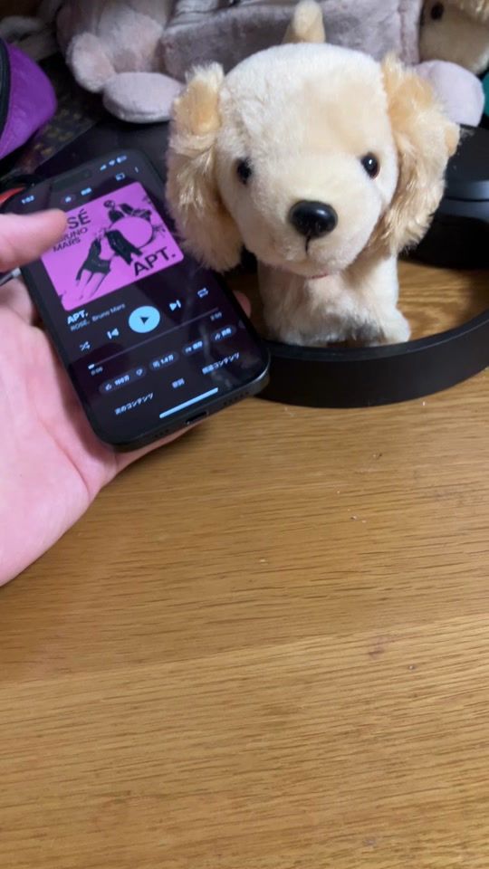 TikTok video thumbnail by oshaberidogs