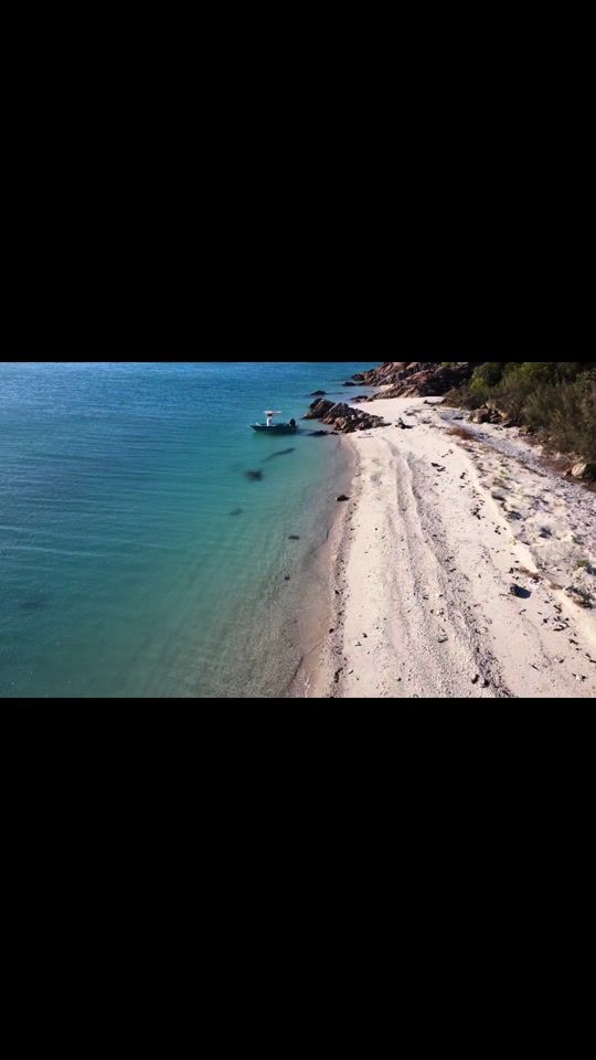 TikTok video thumbnail by onlyfins6699