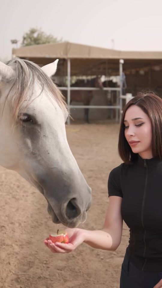 TikTok video thumbnail by jannah_horses