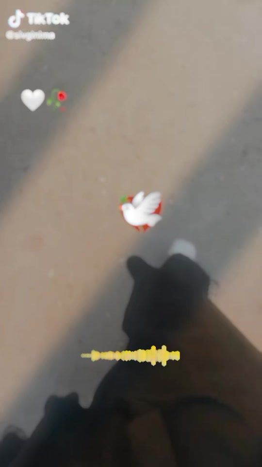 TikTok video thumbnail by sivginima
