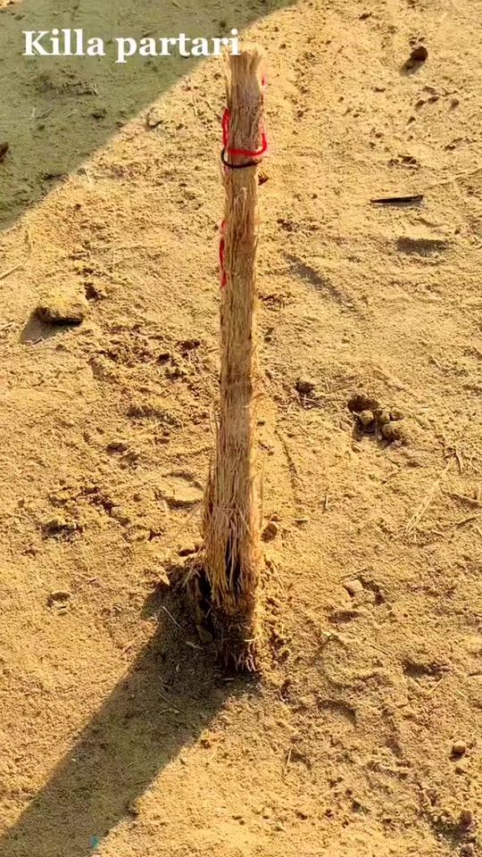 TikTok video thumbnail by mahr_amir_gotara
