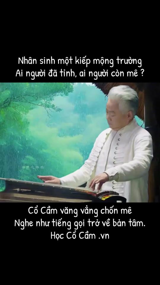 TikTok video thumbnail by guqinvietnam.com