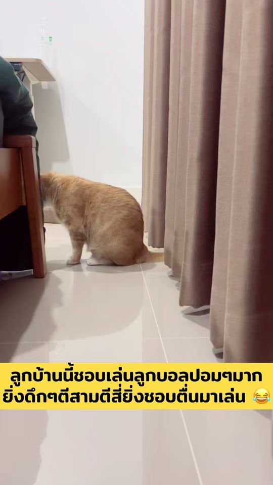 TikTok video thumbnail by happypkd