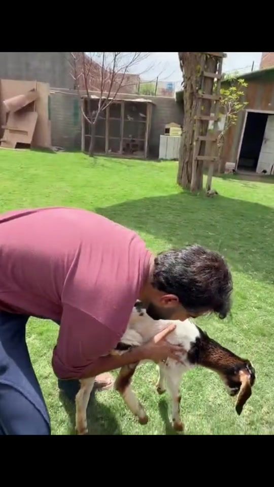 TikTok video thumbnail by shehrmaindehat_offical