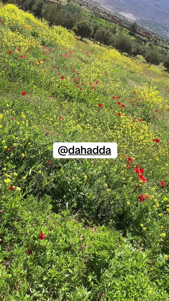 TikTok video thumbnail by ilyjab48