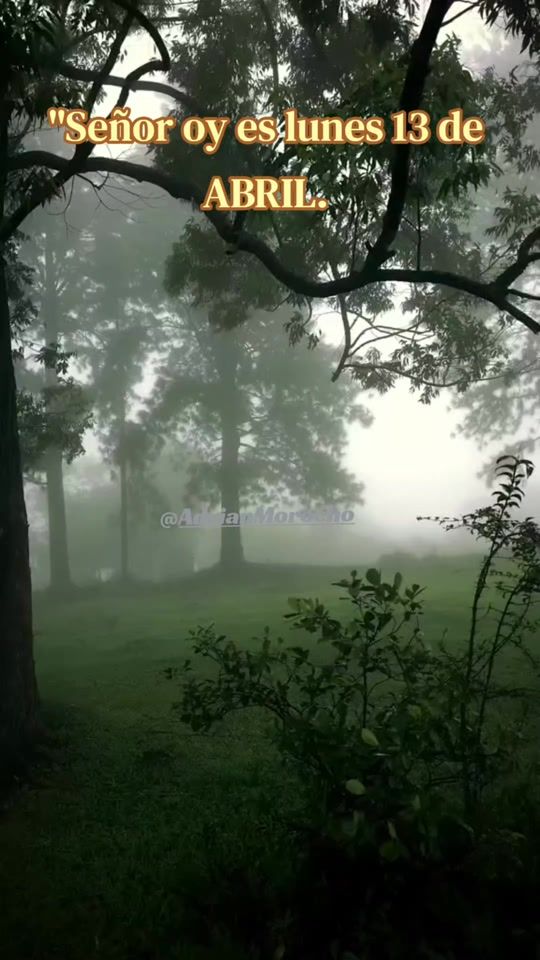 TikTok video thumbnail by adrianmorch