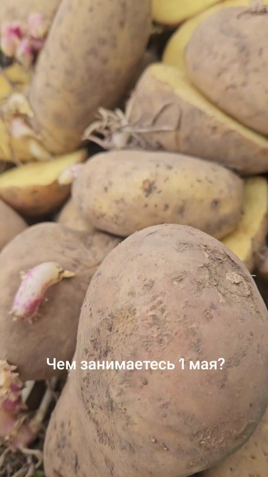 TikTok video thumbnail by kraj.by