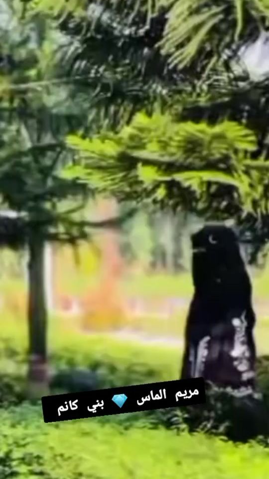 TikTok video thumbnail by aichefilstongmail.com