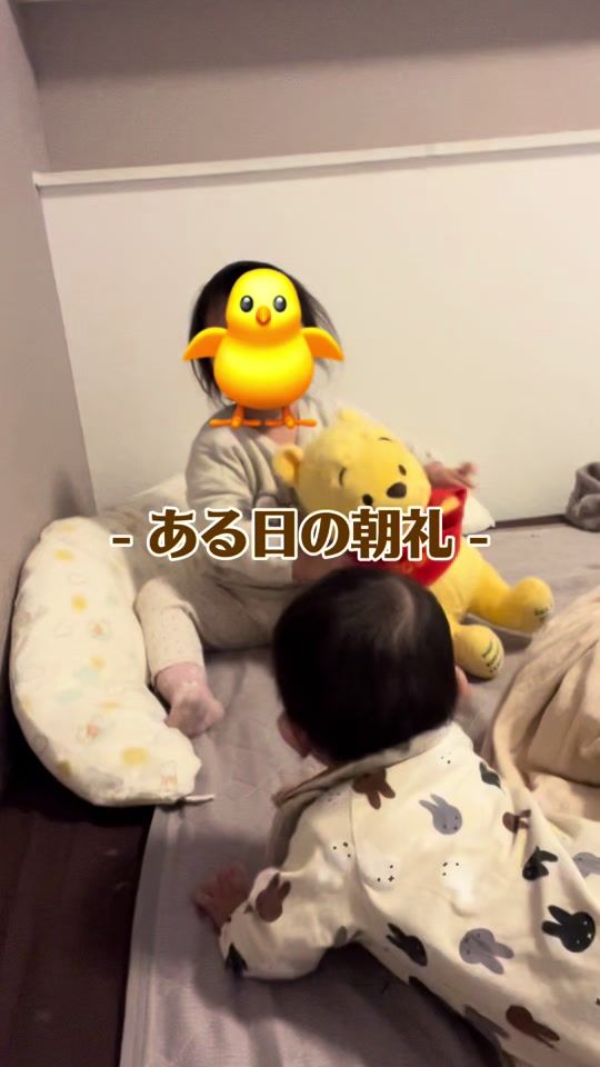 TikTok video thumbnail by boschchannel