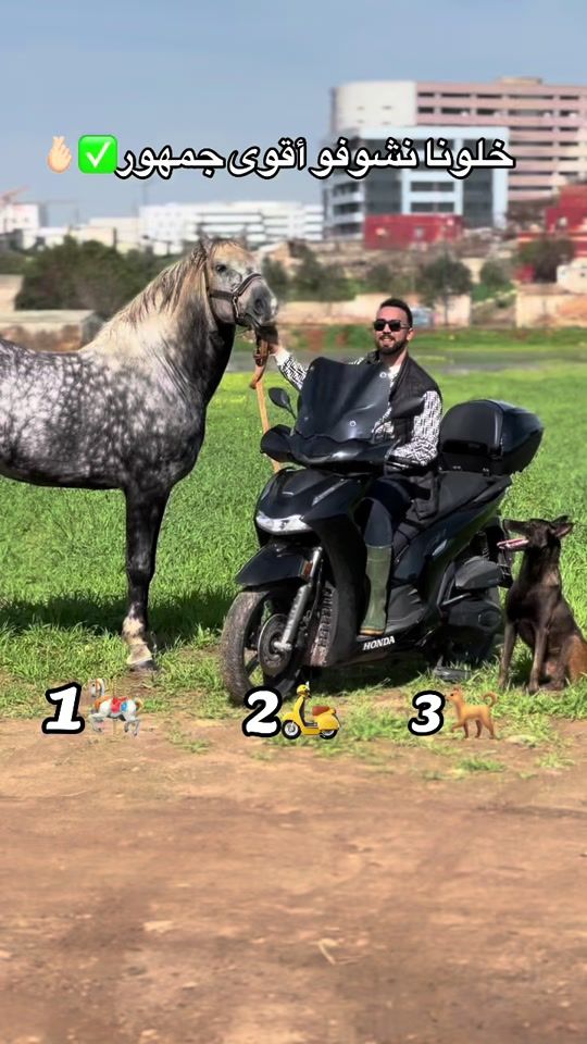 TikTok video thumbnail by k9princemalinois