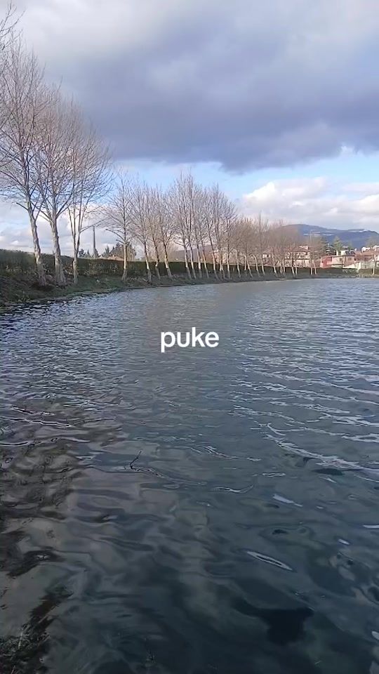 TikTok video thumbnail by pukjani