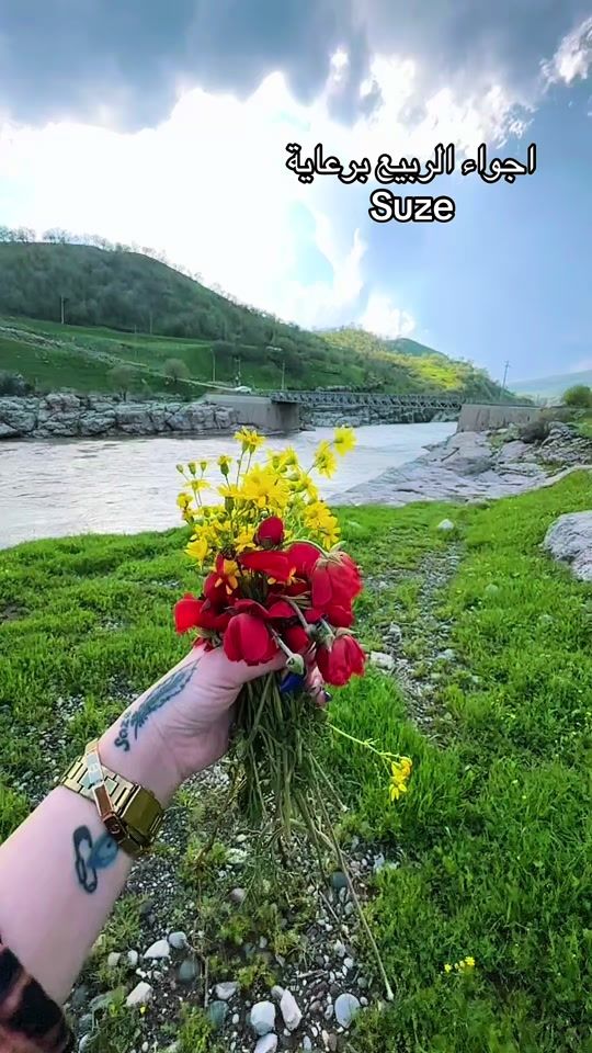 TikTok video thumbnail by suze_48