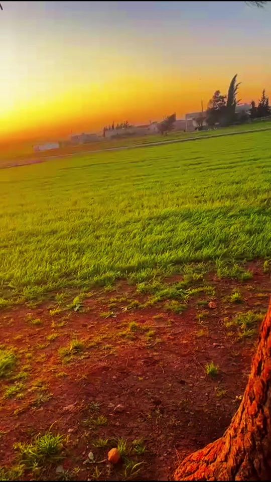 TikTok video thumbnail by am.emad..11